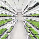 스마트2농장 이미지