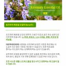 이스퓨라 로즈메리 에센셜 오일 후기