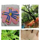 덕안근린공원 이미지