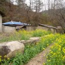 증산-017 이미지
