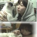 누나농장 Daum카페
