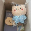 인형세상 | 망그러진 곰 키링 인형 10cm 후기 (feat.귀여운게 세상을 지배한다)