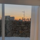 신흥늦장 이미지