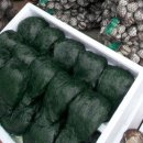 회진농장 이미지