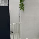 이로운 펫살롱 이미지