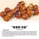 라베니에스테틱