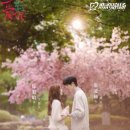 애니 - 익산시 고봉로18길 11 | 애니