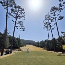 3386 | 여주 솔모로CC 1부 라운딩후기- 체리>퍼시먼 코스