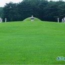 수원-1724 네이버블로그