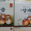 산삼나라 Daum카페