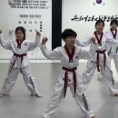 용인대태권도스포츠클럽 네이버블로그