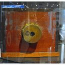 한국 카메라 박물관 이미지