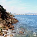 암남공원로 이미지