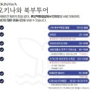 북부로 | 일본 오키나와 북부 버스투어 하루하루투어 내돈내산 후기 (유투어버스랑 비교) 비세마을