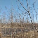 여주-0919 이미지