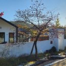 범브로하우스 이미지