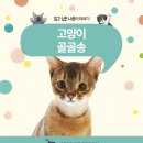 송은메디칼 이미지