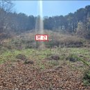 여주-1119 이미지