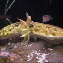 한려수산 이미지