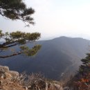 대촌회관 이미지