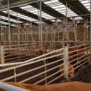 석곡1동 이미지