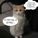 이아이투어 이미지