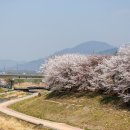 개화근린공원 네이버블로그