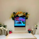 포포즈 반려동물장례식장 김포점 | 반려동물 장례식장 허가 업체 포포즈 김포점 비용 고양이 후기