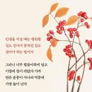 한국교통안전공단