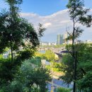 한강근린공원 이미지