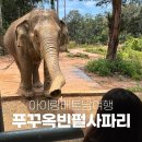 한국쿄와기린(주) | 푸꾸옥 빈펄 사파리 vip트램 말고 주트램 기린식당 사파리버스