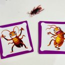 보드게임속 교과서놀이 이미지