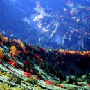 임학주유소 이미지