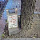 대구 상인동 맛집/상인동 데이트 n번째 맛집 라이첸 월성점 재방문 후기
