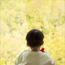 광주사직공원 이미지