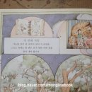 슬픔을 치료해주는 비밀책 이미지