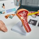 유앤유산부인과의원 이미지