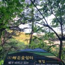 솔향기마을 | 국립산림치유원 6박7일 후기 (산책길: 마실치유숲길, 음이온치유정원,생태텃밭,맨발치유숲길,솔향기...