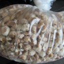 태안선구사 이미지