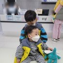 홍금이