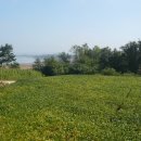 전병원행정사사무소 이미지