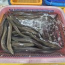 고흥녹동회타운 이미지