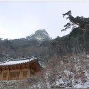 수정-36 이미지