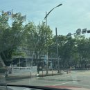 엑스포로123번길(유성-107) 이미지