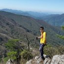 연축산 Daum카페