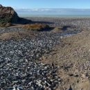 수천목장 이미지