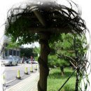 카톨릭병원 이미지