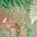 감성있는 클래식 캔들 이미지