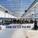 울산원예농업협동조합