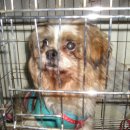 봉천지구대 이미지